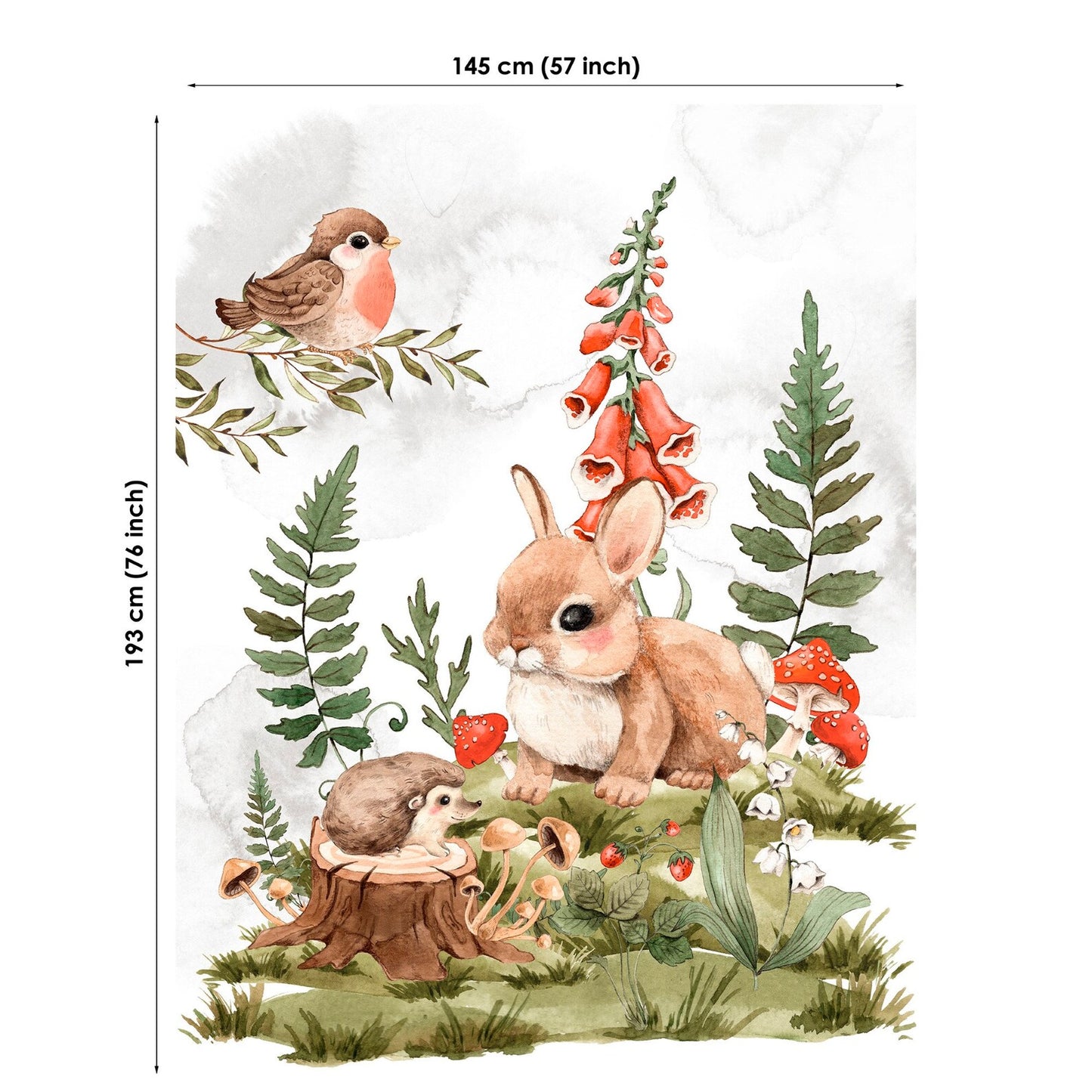 Illustration of forest animals with dimensions on a white background