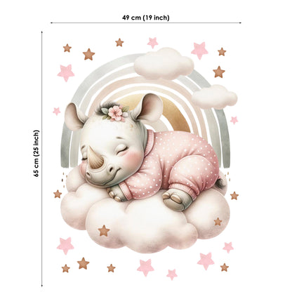 Illustration of a rhino in a pink outfit on a cloud with stars and a rainbow, with dimensions provided.