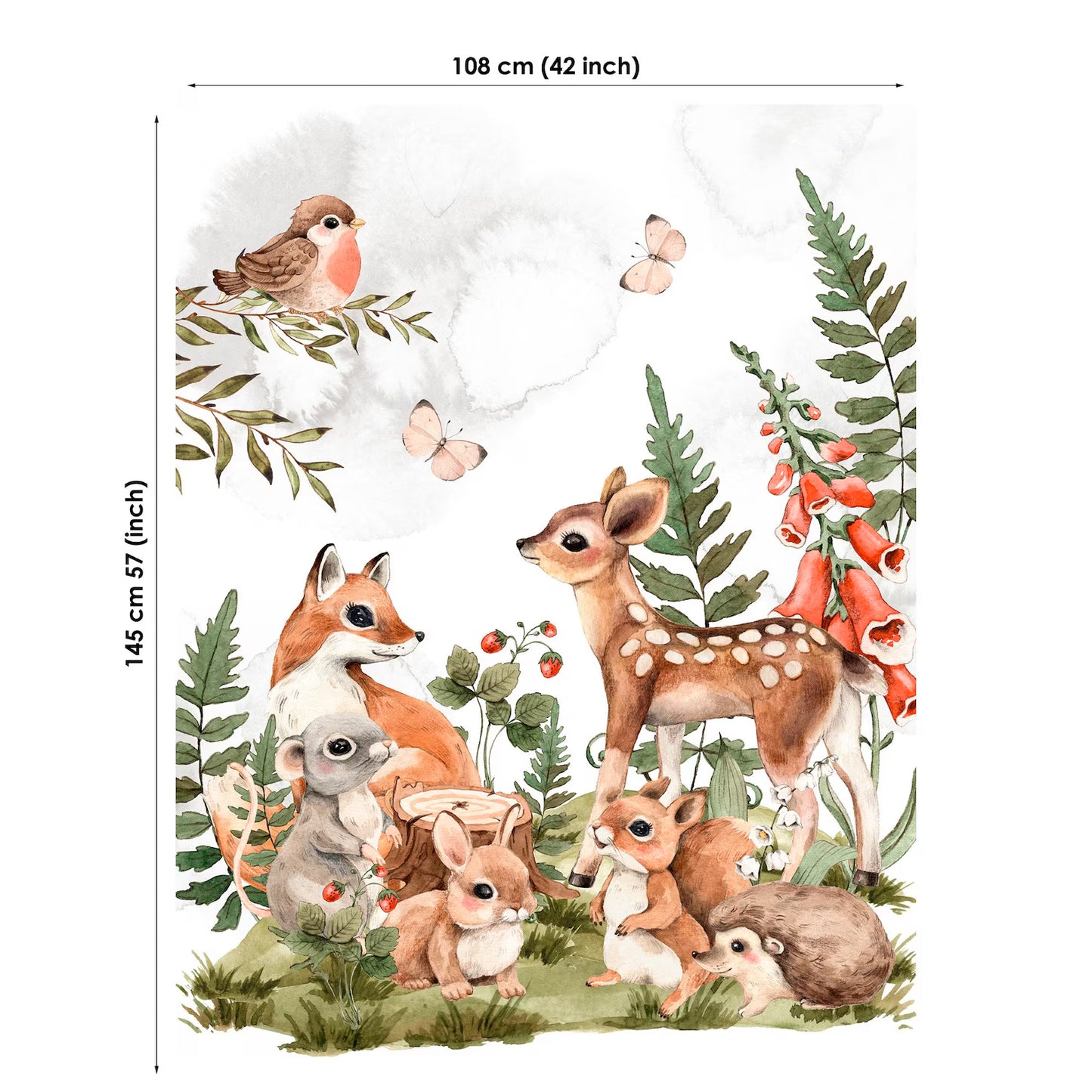 Illustration of forest animals with dimensions on a white background