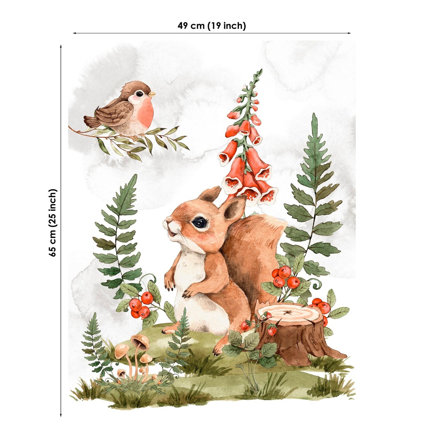 Illustration of a squirrel, bird, and foxglove with dimensions on a white background